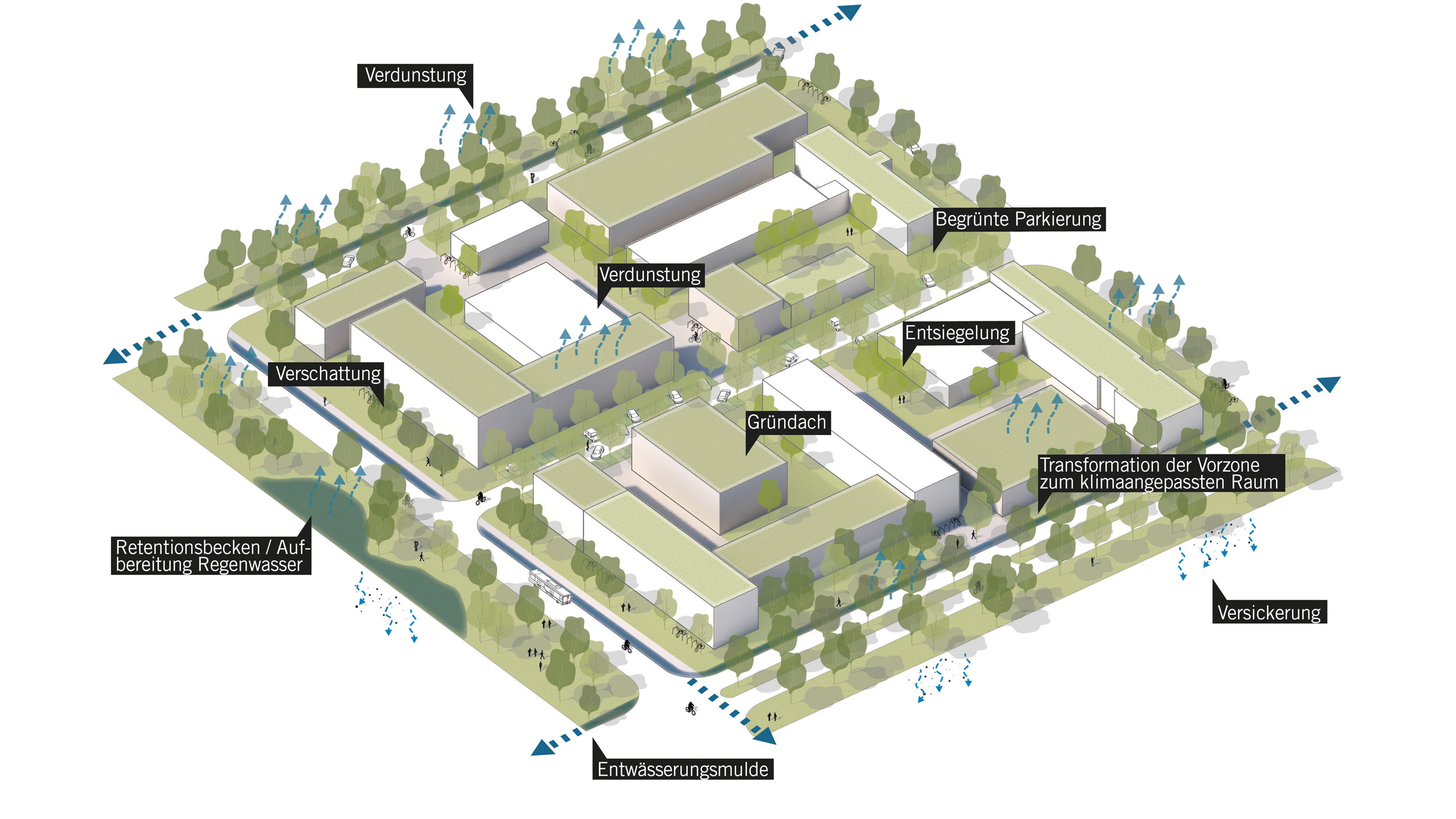 3D Basis_Building Site Development_A3_1000